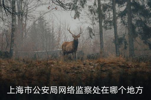 上海市網絡安全檢查，網絡安全監察