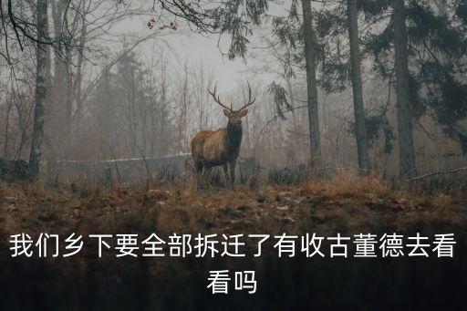 上海市老巷子拆遷區收古玩，我們鄉下要全部拆遷了有收古董德去看看嗎