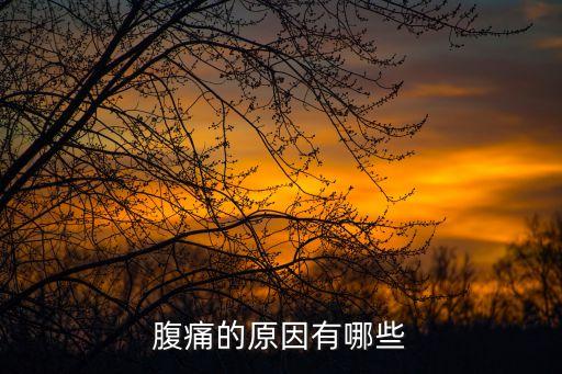 腹痛的原因有哪些