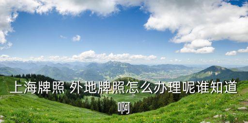 上海市區外牌提檔后如何辦理滬牌，上海牌照 外地牌照怎么辦理呢誰知道啊