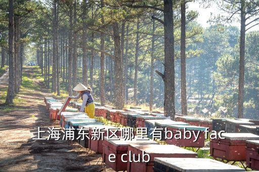 上海浦東新區(qū)哪里有baby face club