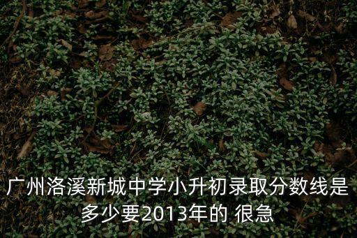 廣州市番禺區(qū)洛溪新城中學(xué)錄取分?jǐn)?shù)線，廣州洛溪新城中學(xué)小升初錄取分?jǐn)?shù)線是多少要2013年的 很急