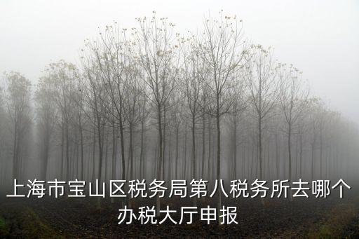上海市寶山區稅務局第八稅務所去哪個辦稅大廳申報