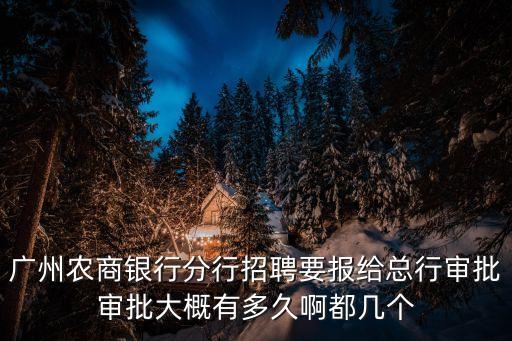 廣州農商銀行需要總行面試嗎，廣州農商銀行分行招聘要報給總行審批審批大概有多久啊都幾個