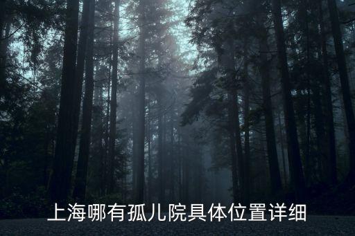 上海哪有孤兒院具體位置詳細