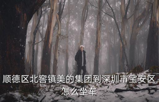 順德區(qū)北窖鎮(zhèn)美的集團(tuán)到深圳市寶安區(qū)怎么坐車