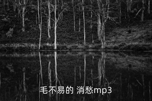 毛不易的 消愁mp3