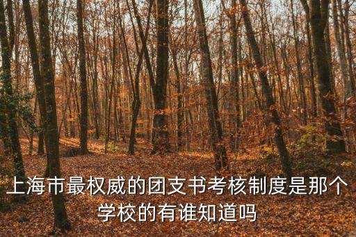 上海市最權威的團支書考核制度是那個學校的有誰知道嗎