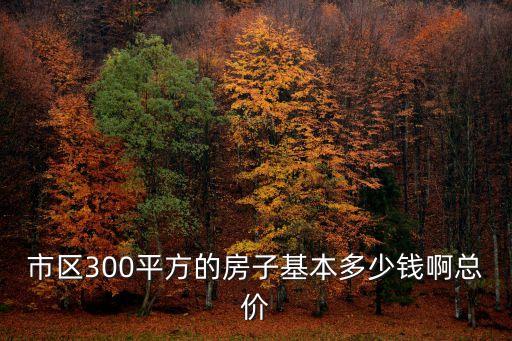 市區300平方的房子基本多少錢啊總價
