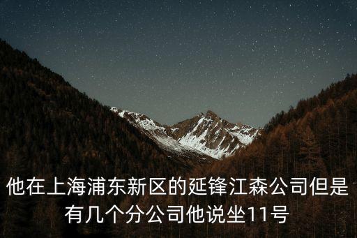 上海市浦東新區張升平，現任上海市浦東新區區長還有副區長叫什么名字