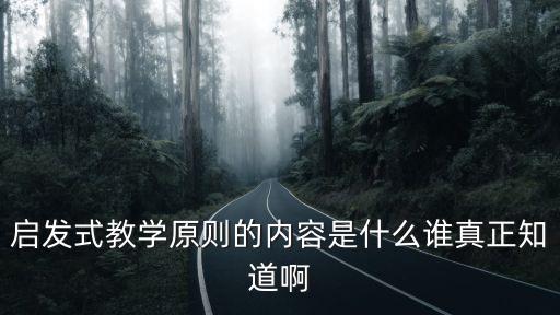 啟發式教學原則，啟發式教學原則的內容是什么誰真正知道啊
