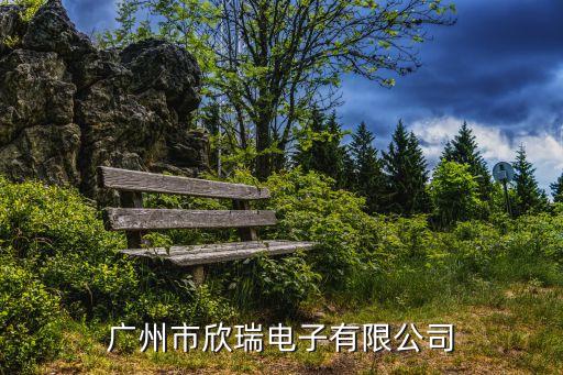 廣州市欣瑞電子有限公司