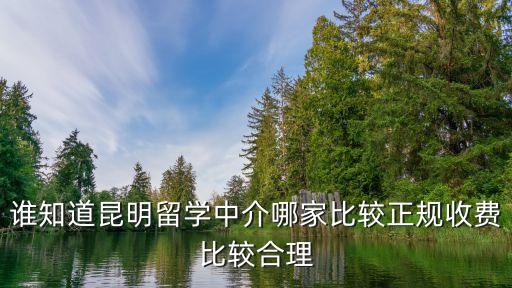 留學中介，誰知道昆明留學中介哪家比較正規收費比較合理