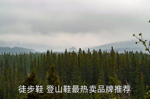 徒步鞋，芝麻開門徒步鞋什么牌子好