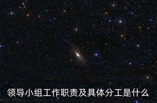 領導小組工作職責及具體分工是什么