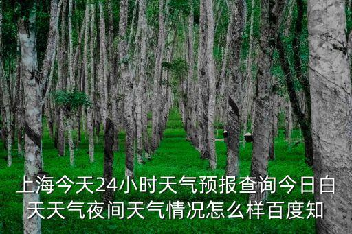 上海今天24小時天氣預報查詢今日白天天氣夜間天氣情況怎么樣百度知
