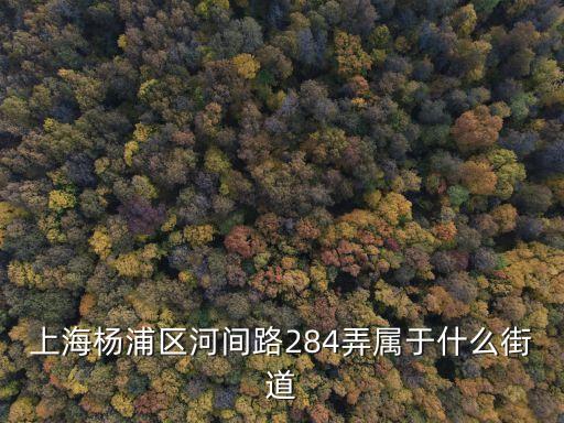 上海楊浦區河間路284弄屬于什么街道
