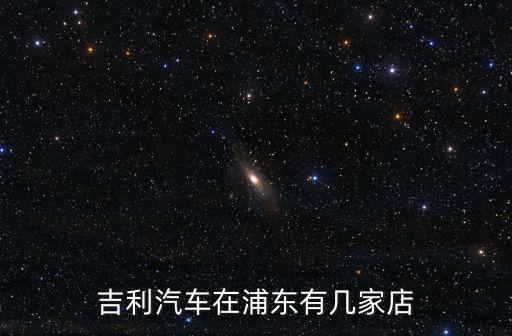 吉利汽車在浦東有幾家店