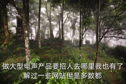 做大型電聲產品要招人去哪里我也有了解過一些網站但是多數都