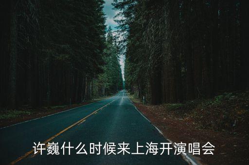 許巍什么時候來上海開演唱會