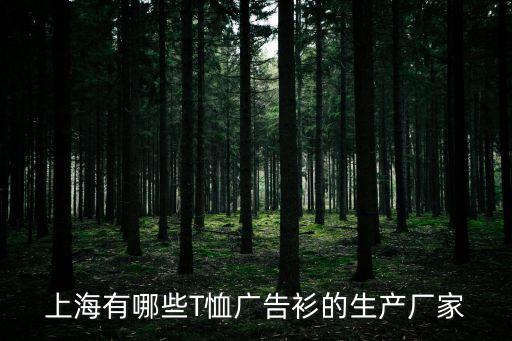 上海有哪些T恤廣告衫的生產廠家