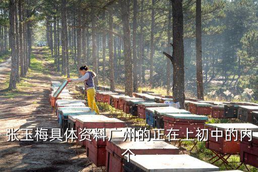 張玉梅具體資料廣州的正在上初中的內個