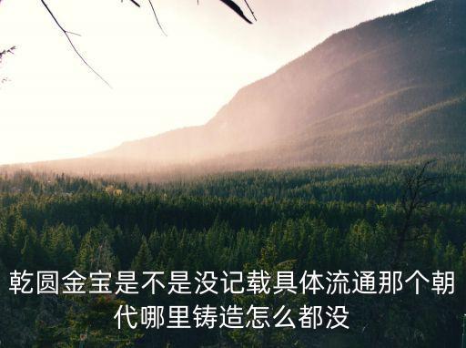 乾圓大通，乾圓金寶是不是沒記載具體流通那個朝代哪里鑄造怎么都沒