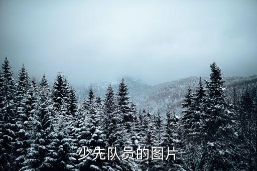 少先隊員圖片，什么樣的的少先隊員