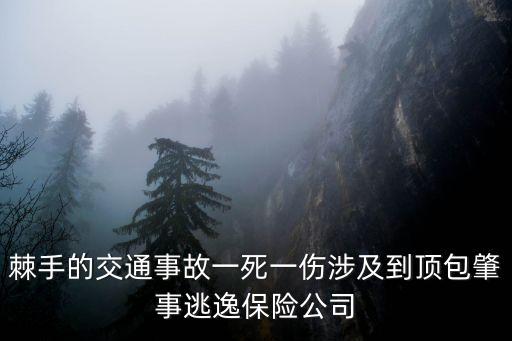 棘手的交通事故一死一傷涉及到頂包肇事逃逸保險公司