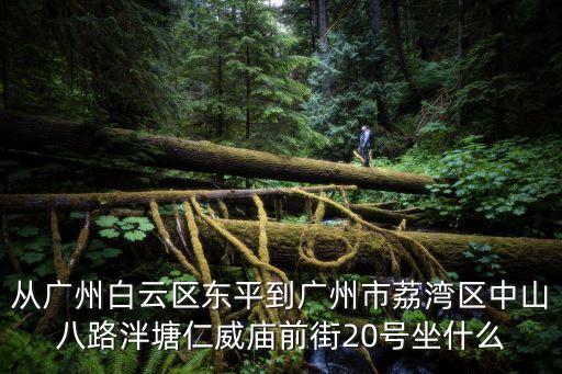 從廣州白云區東平到廣州市荔灣區中山八路泮塘仁威廟前街20號坐什么
