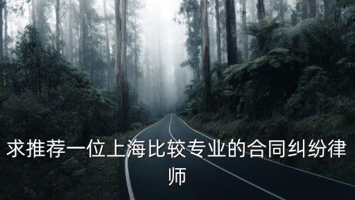 求推薦一位上海比較專業的合同糾紛律師