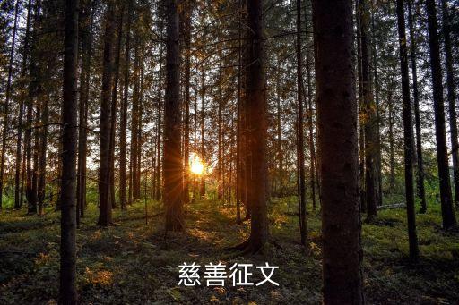 慈善征文，慈善征文600字