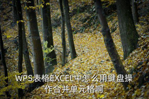 wps合并單元格快捷鍵，WPS表格EXCEL中怎么用鍵盤操作合并單元格啊