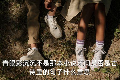青眼影沉沉不是那本小說(shuō)求問(wèn)是否是古詩(shī)里的句子什么意思