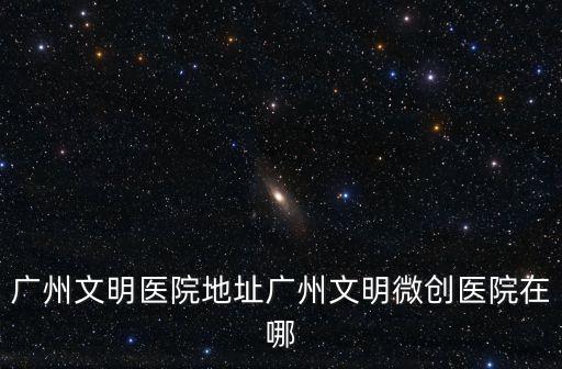 廣州市金沙洲聞桂街49號，廣州市男科醫院地址