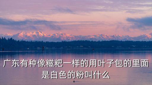 廣東有種像糍粑一樣的用葉子包的里面是白色的粉叫什么