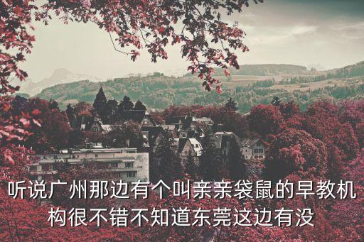 聽說廣州那邊有個(gè)叫親親袋鼠的早教機(jī)構(gòu)很不錯(cuò)不知道東莞這邊有沒