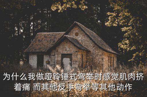 啞鈴錘式彎舉，啞鈴交替彎舉錘式彎舉 那個對肌肉刺激好