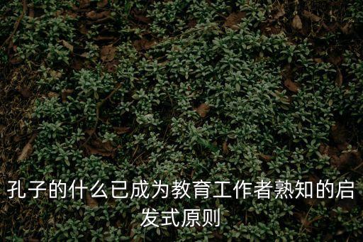 孔子的什么已成為教育工作者熟知的啟發式原則