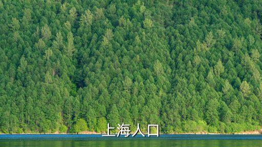 上海人口