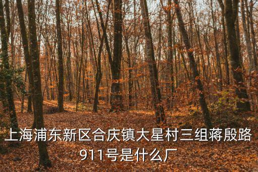 上海市執宏化工有限公司，上海執弘電子科技有限公司是合法的注冊企業嗎