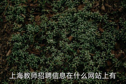 上海教師招聘信息在什么網站上有
