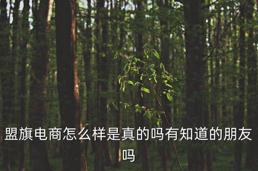 盟旗電商怎么樣是真的嗎有知道的朋友嗎