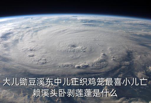 中兒正織雞籠，大兒鋤豆溪東中兒正織雞籠 什么意思