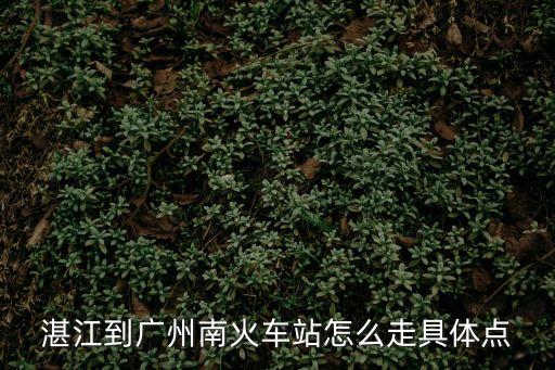 湛江到廣州南火車站怎么走具體點