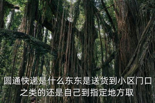 圓通快遞是什么東東是送貨到小區門口之類的還是自己到指定地方取