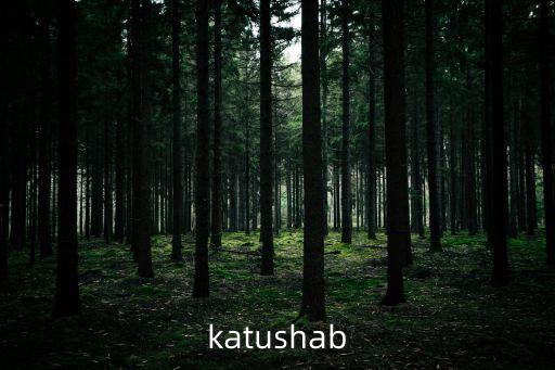 katusha俄羅斯菜廣州，katushab