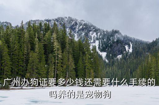 廣州養(yǎng)狗證的照片，在廣州養(yǎng)小狗用狗證什么的嗎還要什么