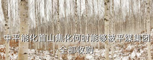 中平能化首山焦化何時能夠被平煤集團(tuán)全部收購