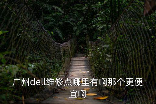 廣州dell維修點(diǎn)哪里有啊那個(gè)更便宜啊